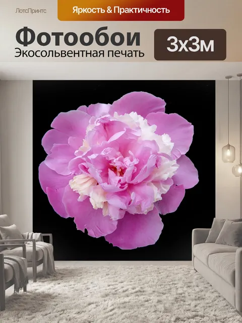 Фотообои Розовый пион