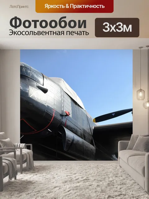 Фотообои История