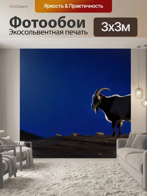 Фотообои одна коза под лунным светом