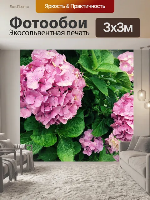 Фотообои Гортензия