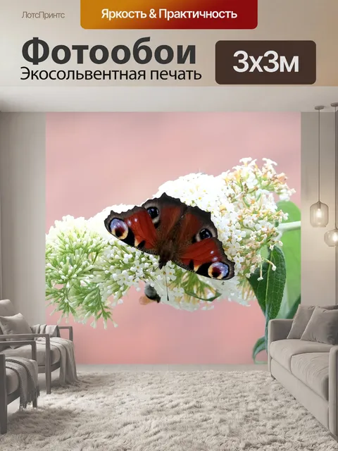 Фотообои Бабочка