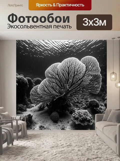 Фотообои море в стиле черно-белый, с изображениями подводного мира и морской флоры