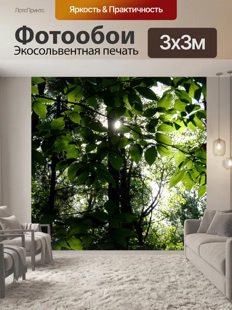 Фотообои Солнце за листья