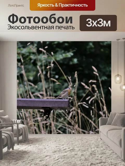 Фотообои Малиновка