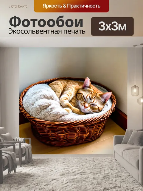 Фотообои кошка, спящая в уютной корзинке с мягким пледом, в углу комнаты