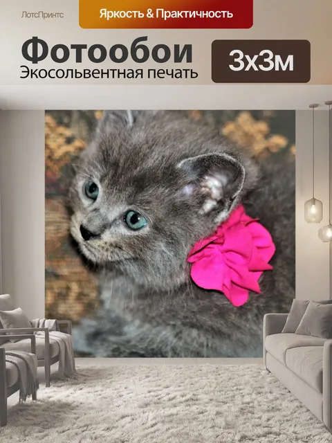 Фотообои Серый котенок с розовым луком