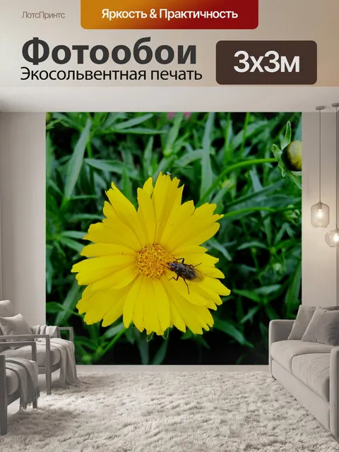 Фотообои небольшая оса на желтой ромашки
