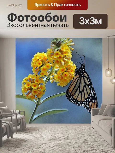Фотообои Бабочка монарх на желтые цветы
