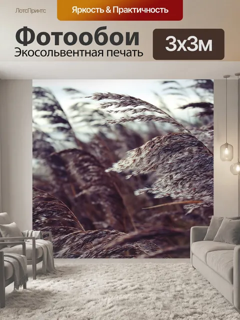 Фотообои Тростник