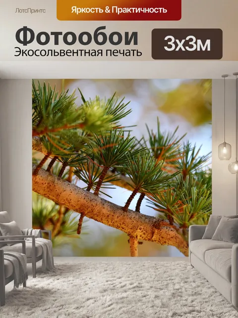 Фотообои Крошечные ветви в форме поклонников