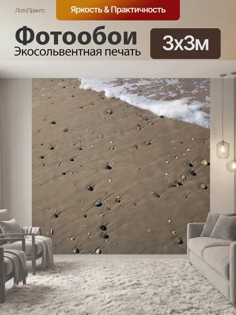 Фотообои Моллюски