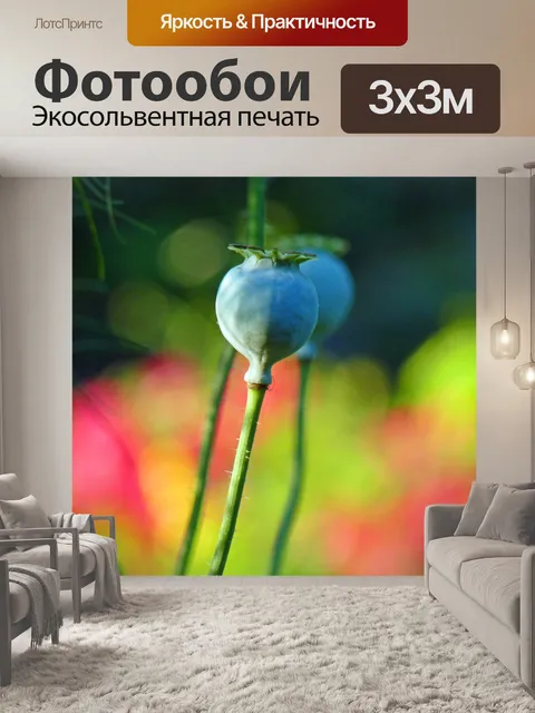 Фотообои Цветок