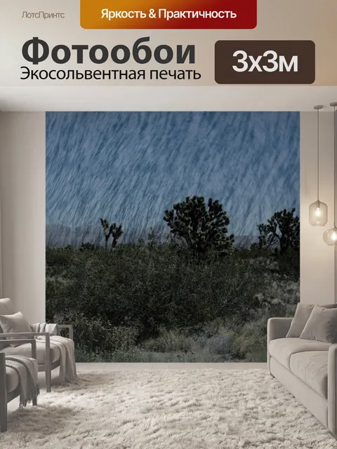 Фотообои Джошуа Три Какти