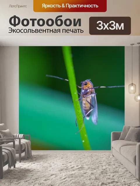 Фотообои Макро