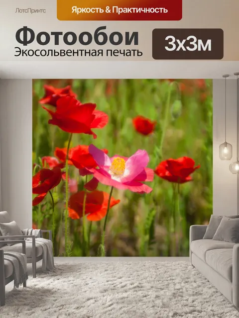 Фотообои Красное поле цветок мака