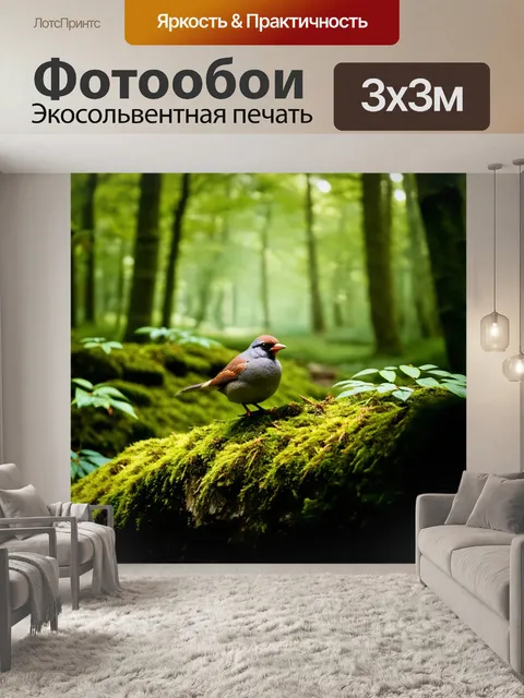 Фотообои птица, сидящая на старом, покрытом мхом камне в лесу, окруженная зеленой растительностью и светом…