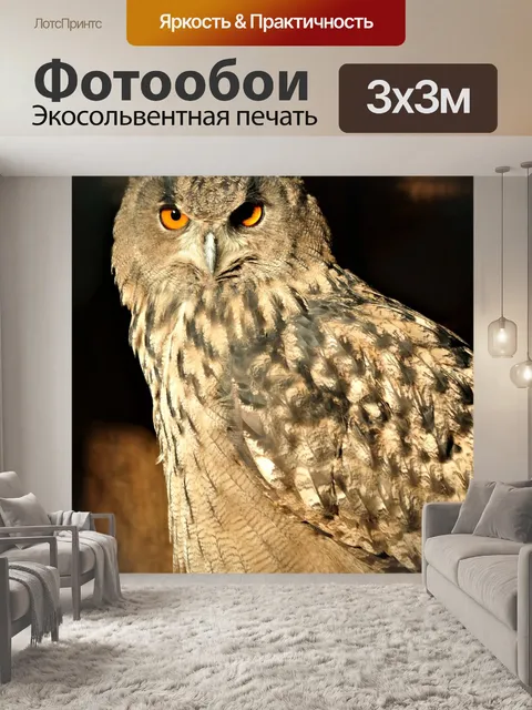 Фотообои Птица