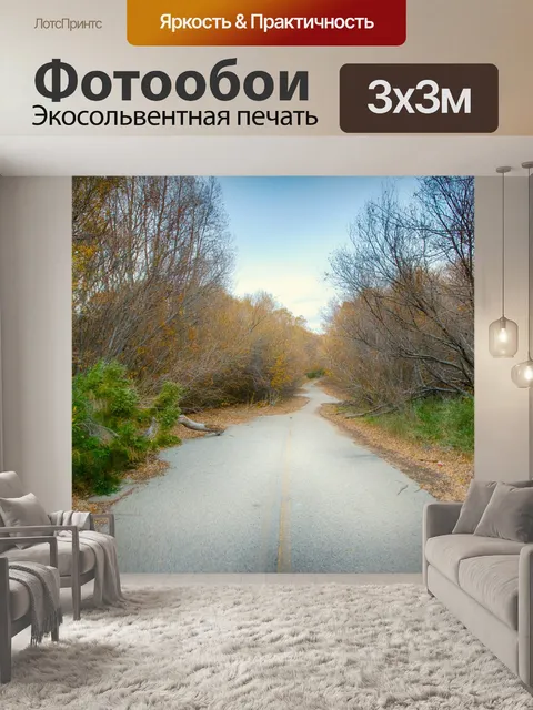 Фотообои Заброшенный Дорога в лесу