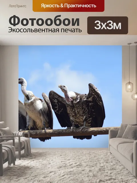 Фотообои Гриф
