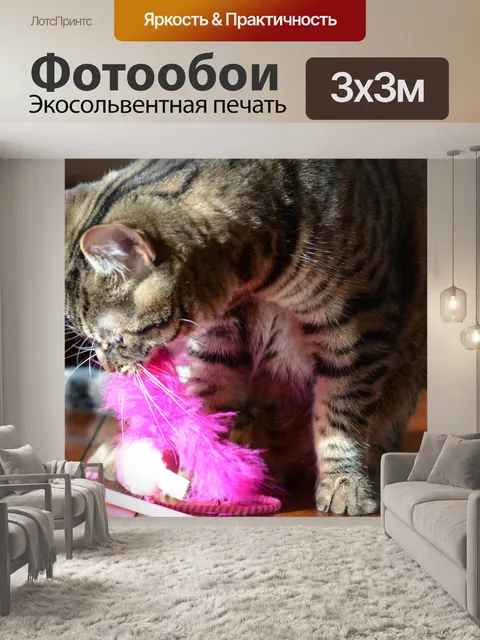 Фотообои Игра в кошки