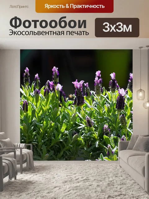 Фотообои Лаванда