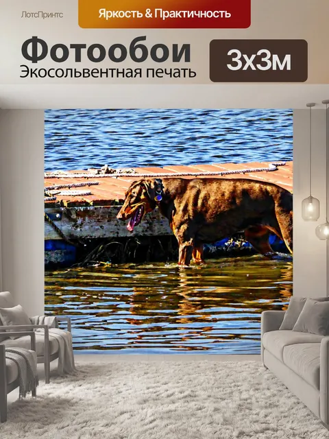 Фотообои Собака в воде