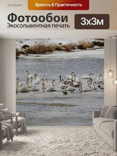 Фотообои Лебеди на реке зимой