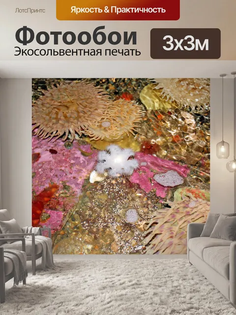 Фотообои Морские Цветы
