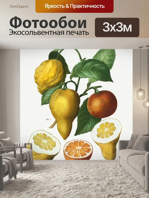 Фотообои Лимонный апельсин винтажный старый