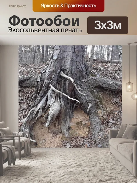 Фотообои Старая сосна на берегу ручья