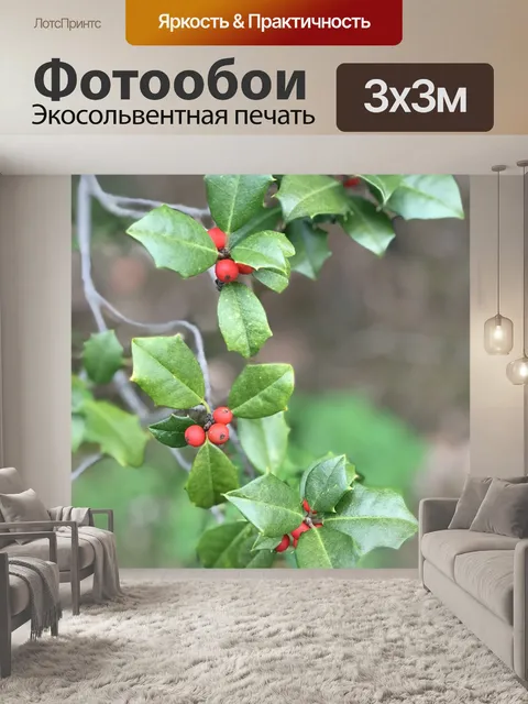 Фотообои Холли