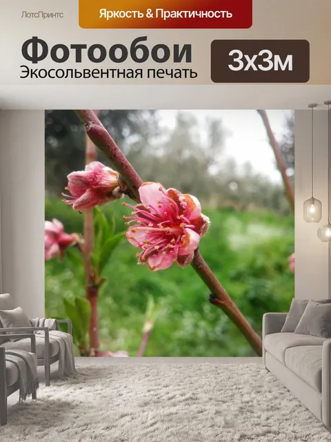 Фотообои Цветы