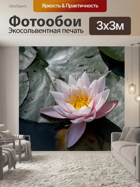 Фотообои Водяная лилия, розовая кувшинка
