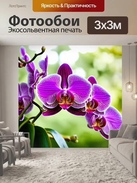 Фотообои цветы в стиле боке, тропические орхидеи на фоне с мягким размытием, чтобы подчеркнуть их красоту