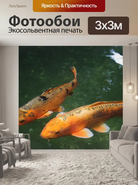 Фотообои Кои