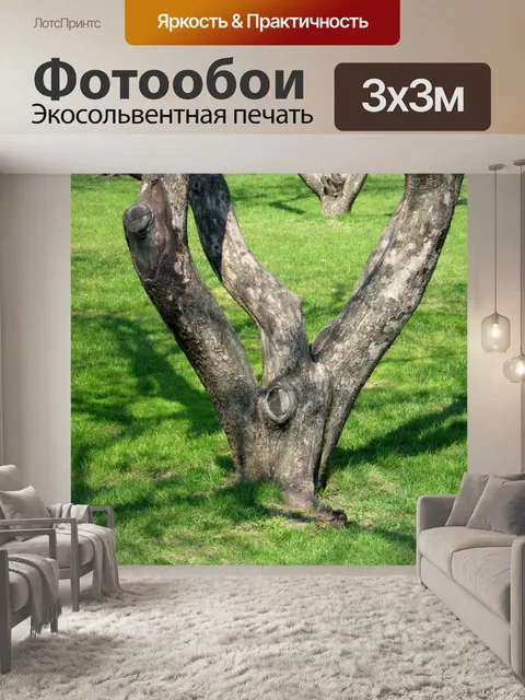 Фотообои Яблоневый сад