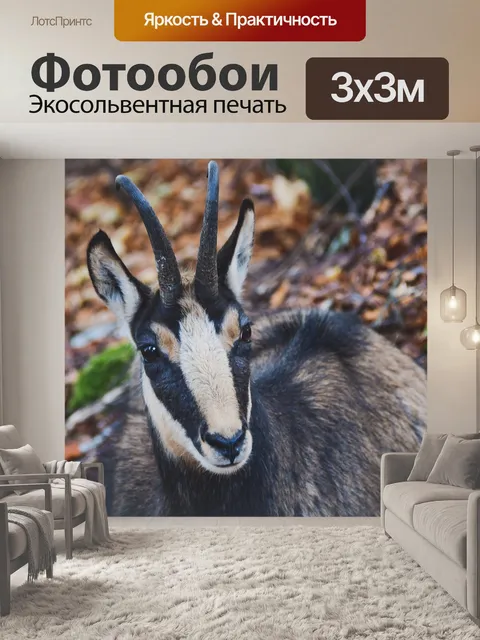Фотообои Замша