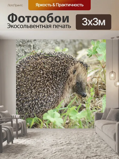 Фотообои Ежик
