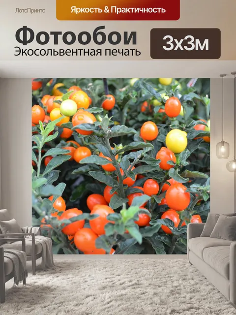 Фотообои небольших помидора