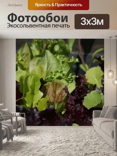 Фотообои Еда