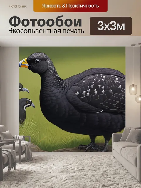 Фотообои с тетеревом