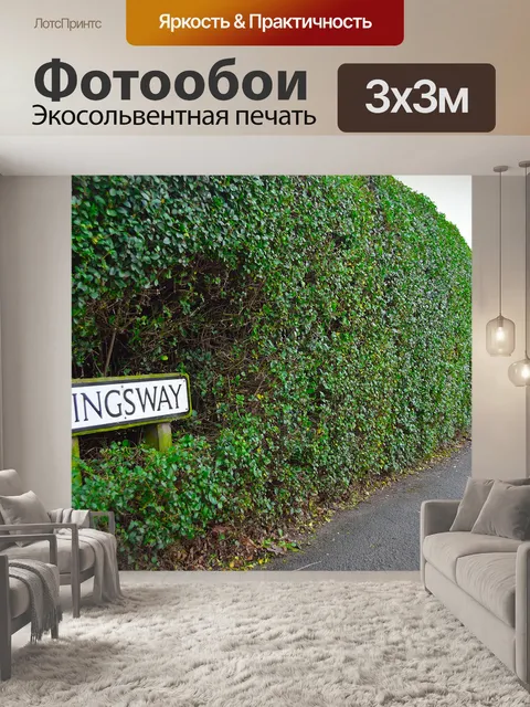 Фотообои Kingsway улице