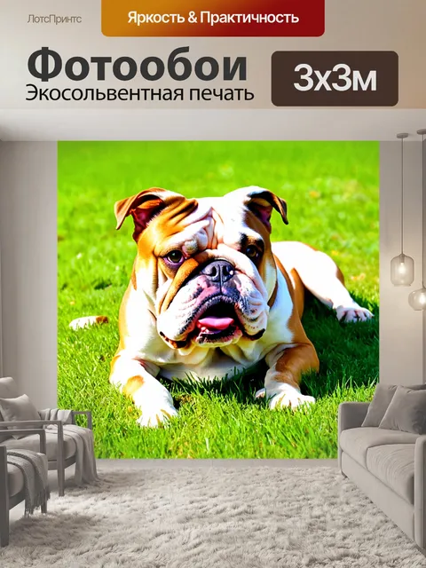 Фотообои собака бульдог, лежащая на траве с забавным выражением лица, на фоне летнего дня