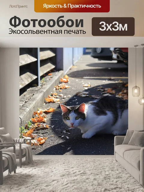 Фотообои Кошка