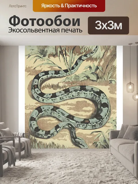 Фотообои Винтажная иллюстрация змеи