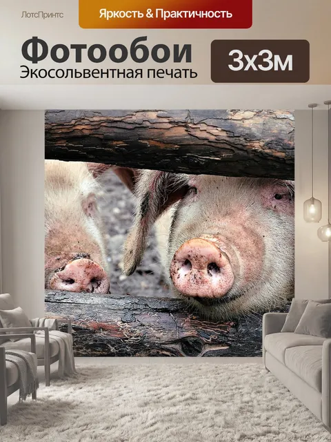 Фотообои Тибет