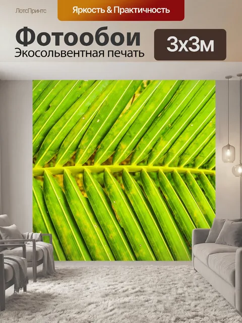 Фотообои Натуральные кокосовые листья