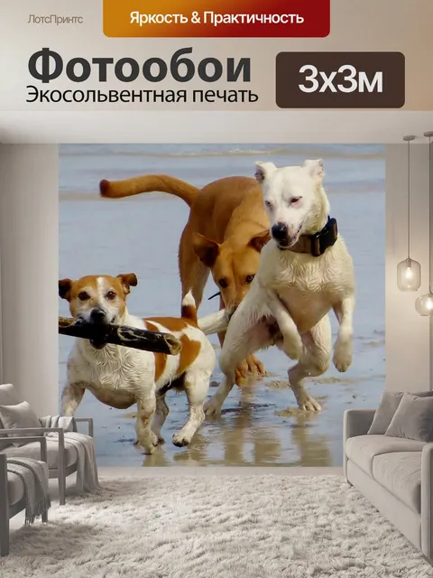 Фотообои Собаки