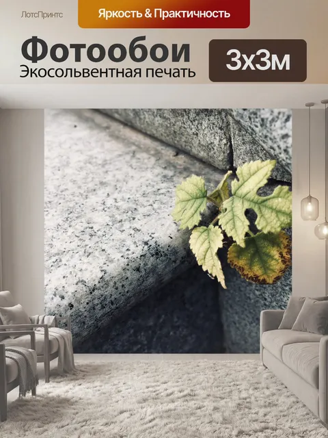 Фотообои Лист