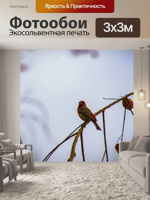 Фотообои Зимний Дом Финч